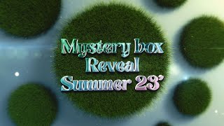 Large Summer 23' mystery box reveal
