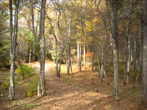 The Sleep Song by June Tan Lee.wmv