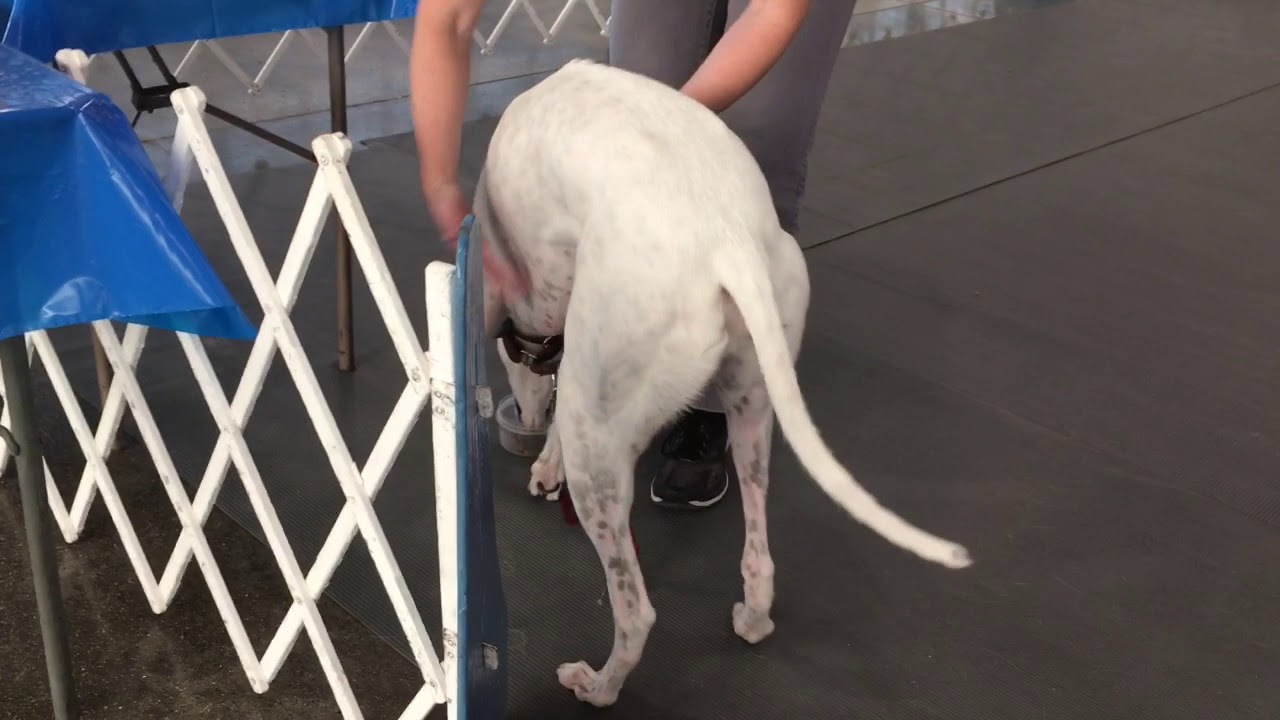 Rent a ring Varied Industries Building