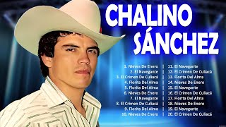 Chalino Sánchez Sus Mejores Canciones 2024  Chalino Sánchez 2024 MIX  Top 10 Best Songs by Music Hits Channel 581 views 5 days ago 38 minutes