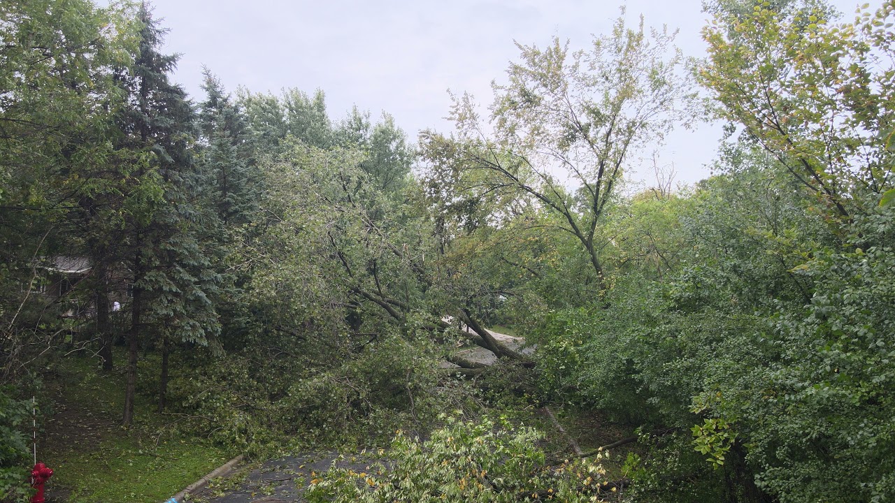 Burnsville MN Tornado Damage YouTube
