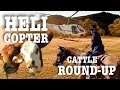 It's Helicopter Day!! Cattle Roundup at Cooper Ranch, AZ