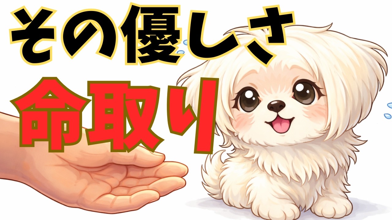 【警告】愛犬の命を奪う、冬の危険な習慣10選。飼い主の9割が知らないNG行動とは？