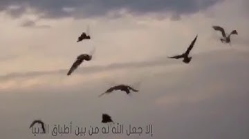من فوائد المحافظة على اذكار الصباح والمساء