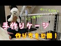 【DIY】手作り犬ケージを紹介します。材料費から作り方まで【ビションフリーゼ】