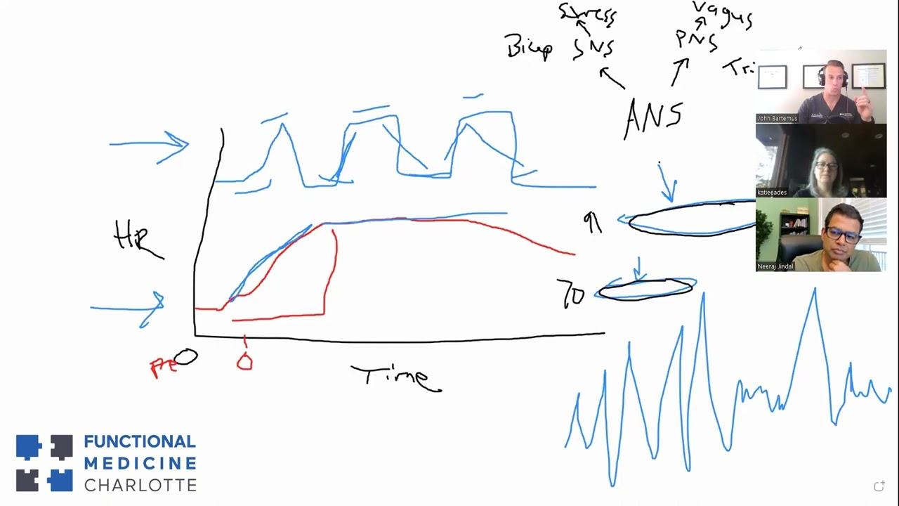 Heart Rate Variability (HRV) primer - a window into nervous system balance and exercise readiness