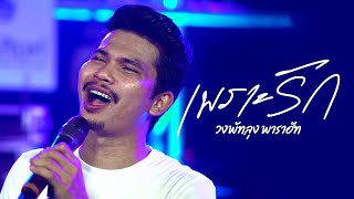 เพราะรัก - วงพัทลุง[Live session]