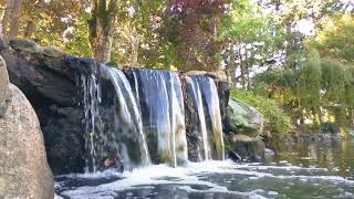 Special video for membersThe water flow makes it easy for people to enter another meditation space