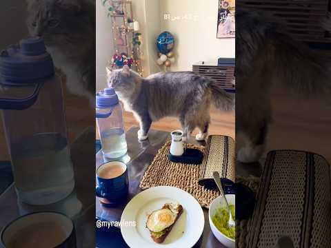   بحار الأنوار ج 43 ص 81