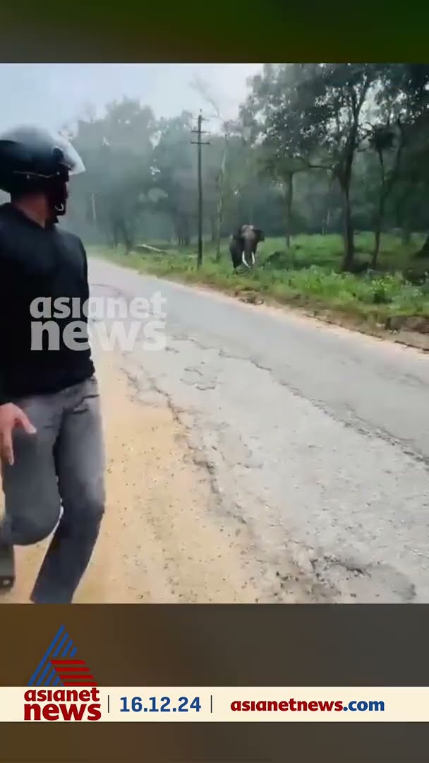 വയനാട് ബാവലി റോഡിൽ യുവാക്കൾക്ക് നേരെ പാഞ്ഞടുത്ത് കാട്ടാന