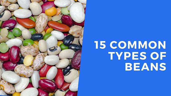 Types of Beans - DayDayNews