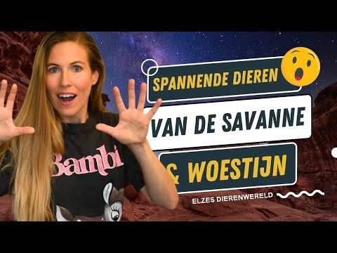 Video: Waarom is de savanne zo heet?