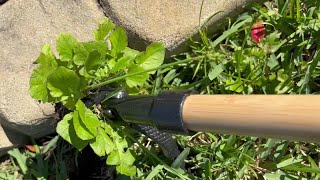 Grandpa's Weeder Stand Up Weed Puller  HONEST Review
