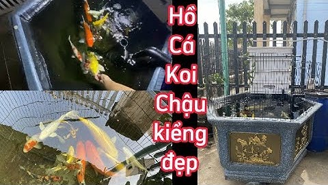Hồ Cá Koi 300l Bằng Chậu Kiểng Hình Lục Giác Rất Đẹp - Lọc Ống Chữ U Hiệu Quả.Hồ Em Vương Ở Đồng Nai