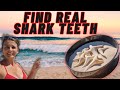 We Found HUGE Shark Teeth in Venice, Florida! Family Treasure Hunt