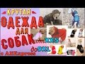 #ОДЕЖДА ДЛЯ СОБАКИ С ALIEXPRESS | ПОКУПКИ ДЛЯ СОБАКИ С АЛИЕКСПРЕСС | Посылки из Китая