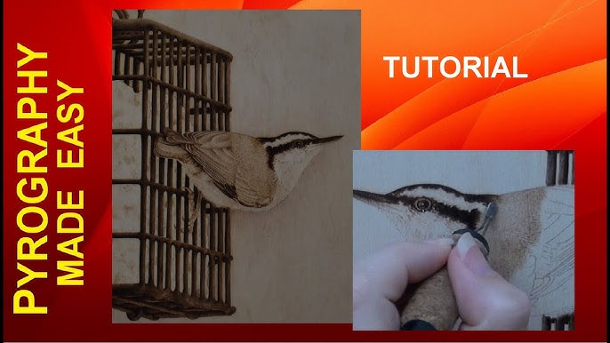 An Overview of Pyrography and the Wood Burning Tools Used - Woodpeckers  Crafts