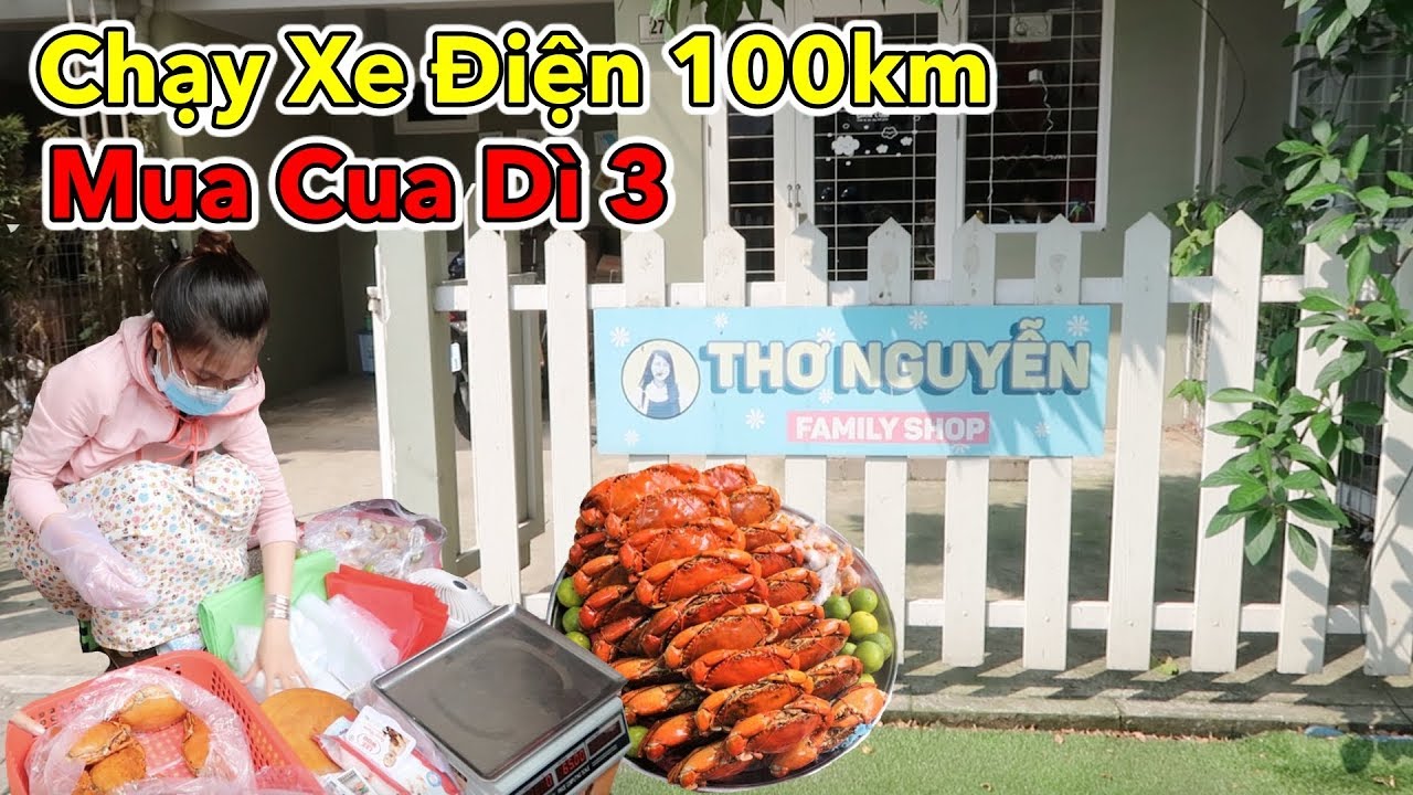 Lâm Vlog - Thử Thách Dùng Xe Điện Chạy 100km Tìm Nhà Thơ Nguyễn và Mua Cua Dì 3 Trên Sài Gòn