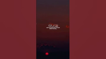 القارئ: اسلام صبحي 🩵 / سوره: آل عمران 🩵       #قرآن #quran #islam
