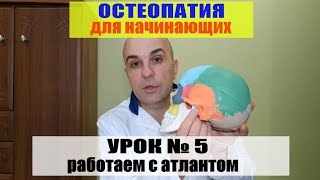5. Уроки остеопатии Урок № 5 Работа с атлантом Почему нельзя делать правку атланта #правка атланта#