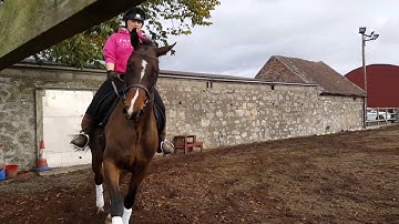 Intro A 2008 dressage test