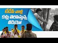       facts behind tdp manifesto now and then  ap elections