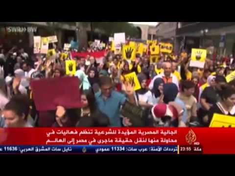 فعاليات الجالية المصرية المؤيدة للشرعية