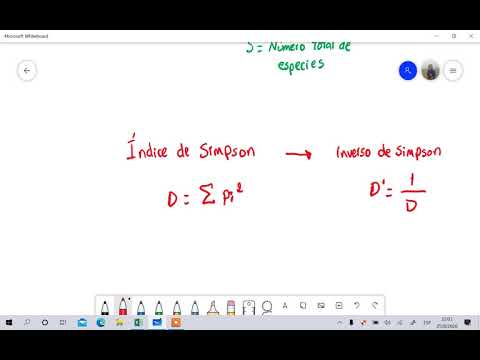 Video: Cómo Calcular El índice De Equidad