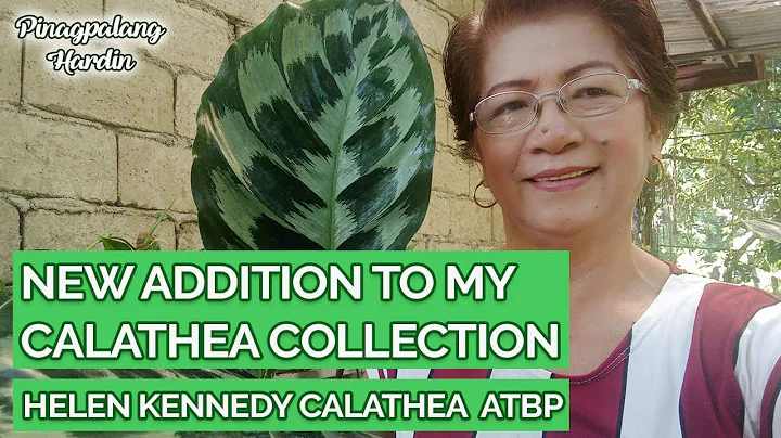 Helen Kennedy at iba pa| Mga nadagdag sa aking Cal...