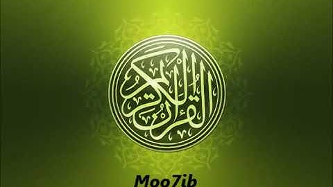 عامر الكاظمي العراقي - سورة الشورى