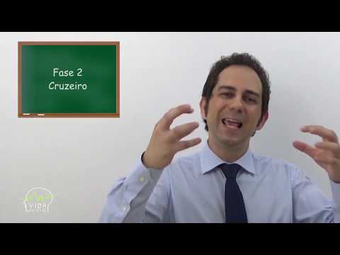 Vídeo: Dieta De Ducan - Menu Para A Fase 2 - Cruzeiro: Dias Alternados De Proteína Com Vegetais