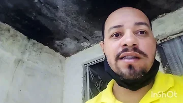 Qual o melhor veneno para matar pulgas no ambiente?