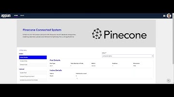 Tap the power of pinecone in Appian for semantic search