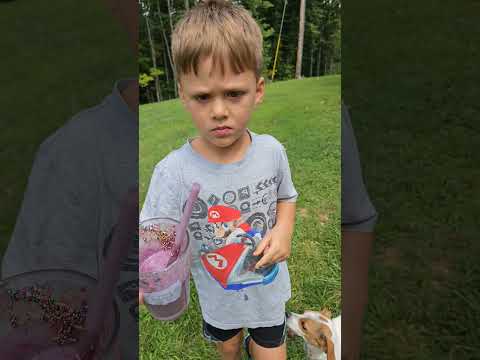 Video: Was Brendon Urie in fall-out jongen?