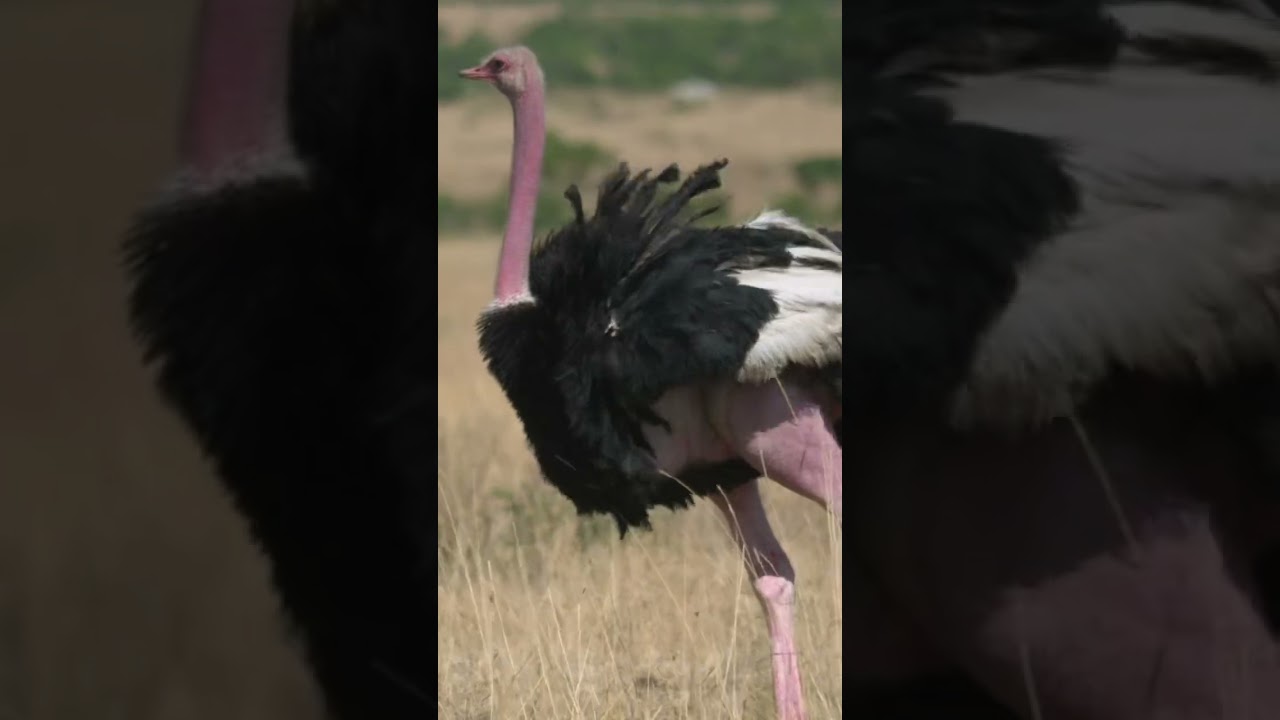 Real Estate Question of The Day! 