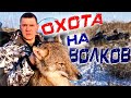 охота на волков в степях казахстана 2019г. !(WOLF HUNTING),(die Jagd auf Wölfe)