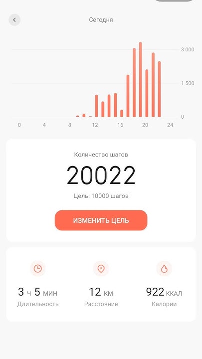 Первый 20000 шагов в 2024 - YouTube