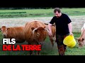 La souffrance des agriculteurs en france  documentaire complet  mp