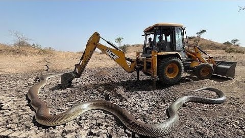 JCB 3dx video || JCB 3DX leveling work video Jcb backaloader || JCB3DX