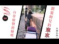 跟著師兄釣東水┃第一次┃新魚種解鎖┃南極蝦醃製方法step by step┃大漁小魚#74 ┃中文字幕