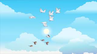 Flying Birds-Ducks Cartoon effect || No Copyright Video Flying Birds-Ducks Cartoon effect || No Copyright Video