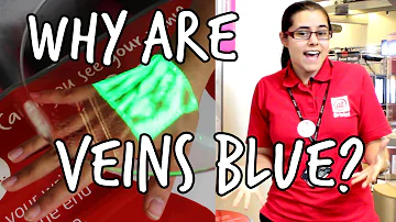 Why are your veins blue? | We The Curious