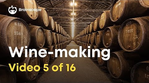 Wine 101: 10 Basic winemaking facts you should know!