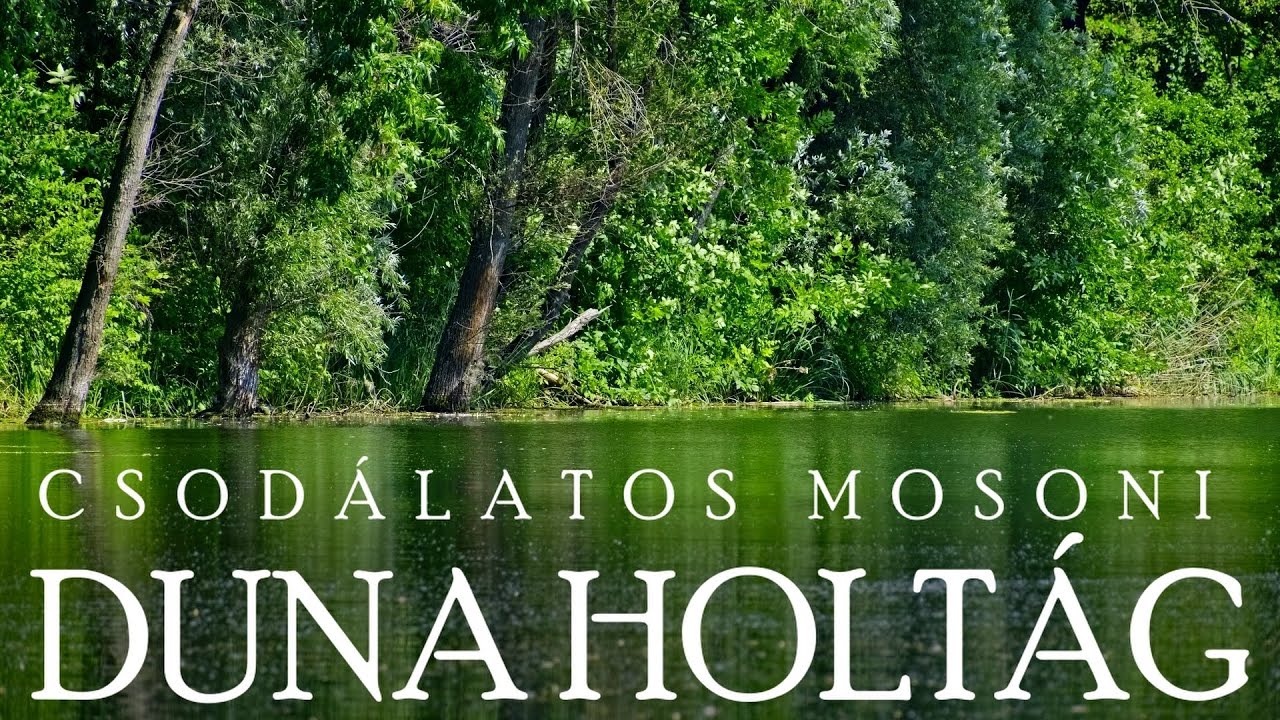 Kirándulás a csodálatos Mosoni Duna holtágnál #túrázás