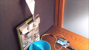 Automatic Fish Feeder