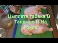 Цыплята Табака В Тандыре И На Гриле,Какие Вкуснее?