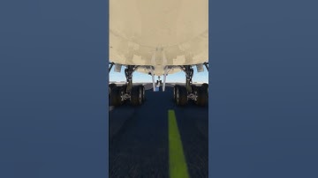 enjoy the beautiful view of the plane when it lands eps.1526