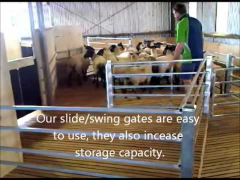 Shearing shed races and pens - YouTube