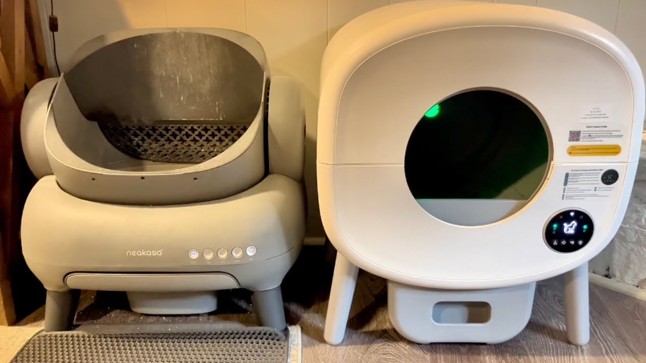 Automatic Litter Box Showdown: Neakasa vs Fsitego!
