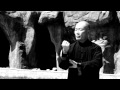 Сhen style Tai Chi - master Zhang Dong Hai - 太极宗师  张东海